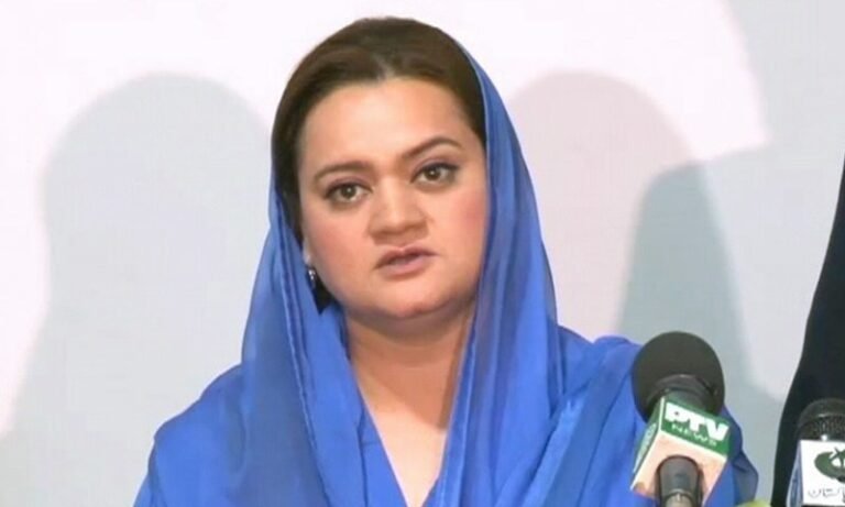 بیرون ملک مقیم پاکستانیوں نے سول نافرمانی کی کال مسترد کر دی: مریم اورنگزیب