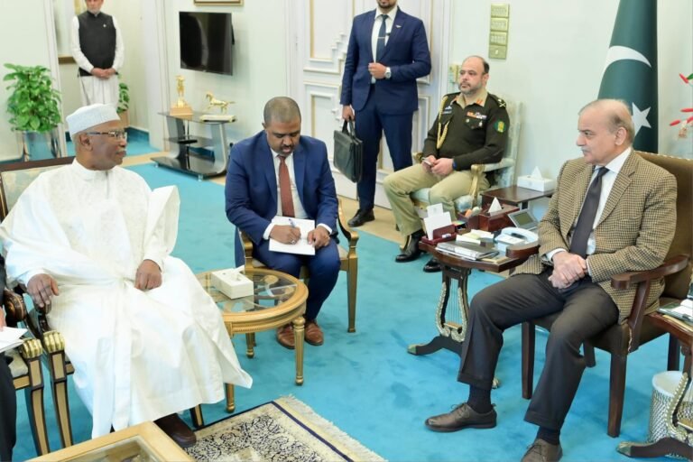 وزیر اعظم سےاو آئی سی کےسیکرٹری جنرل حسین براہیم طحہٰ کی ملاقات