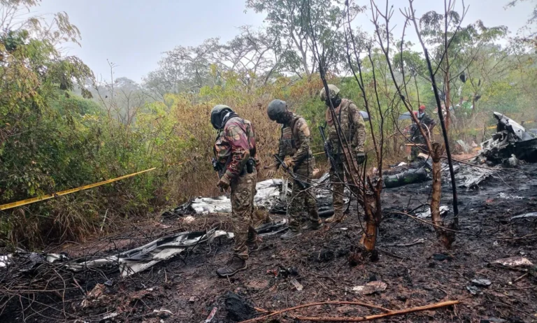 کینیا میں سیاحتی طیارہ حادثے کا شکار، 11 افراد ہلاک کینیا میں سیاحتی طیارہ حادثے کا شکار، 11 افراد ہلاک