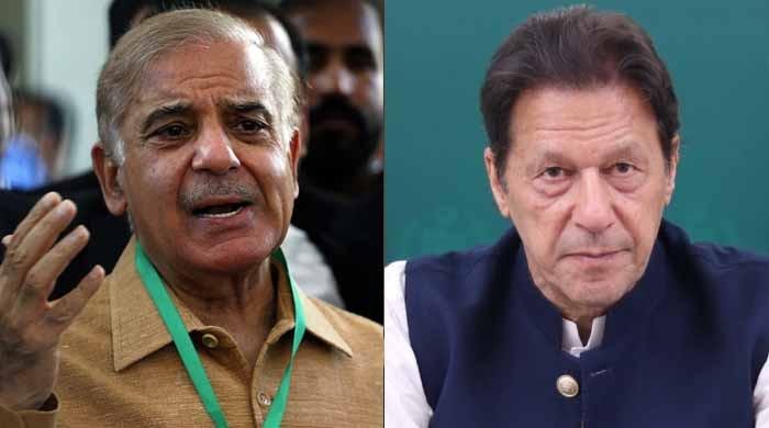 شہباز شریف کی جانب سے ہرجانے کا کیس، عمران کے وکیل کی جرح کیلئے مہلت کی استدعا منظور