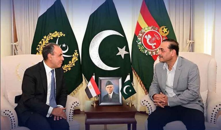 مصری وزیر خارجہ کی فیلڈ مارشل سے ملاقات، دفاعی تعاون مزید مضبوط بنانے کے عزم کا اعادہ