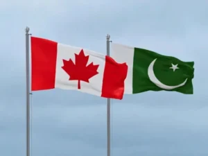 Untitled-design-(12)1736858266-0-600x450