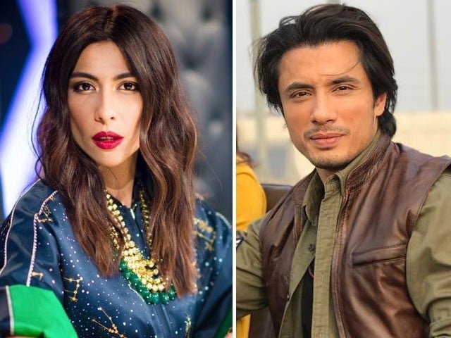 Ali Zafar vs. Meesha Shafi defamation case: Arguments complete, verdict likely to be reserved
