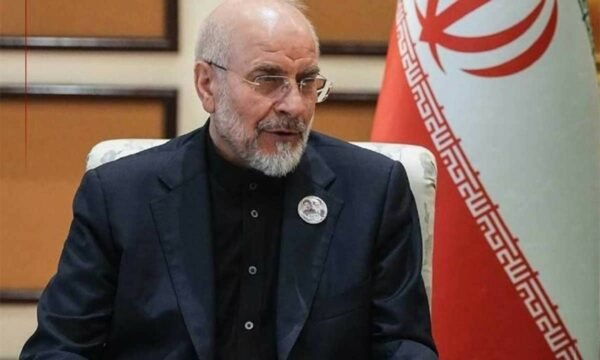 Iranian presidential spokesman Mehdi Tabatabaei