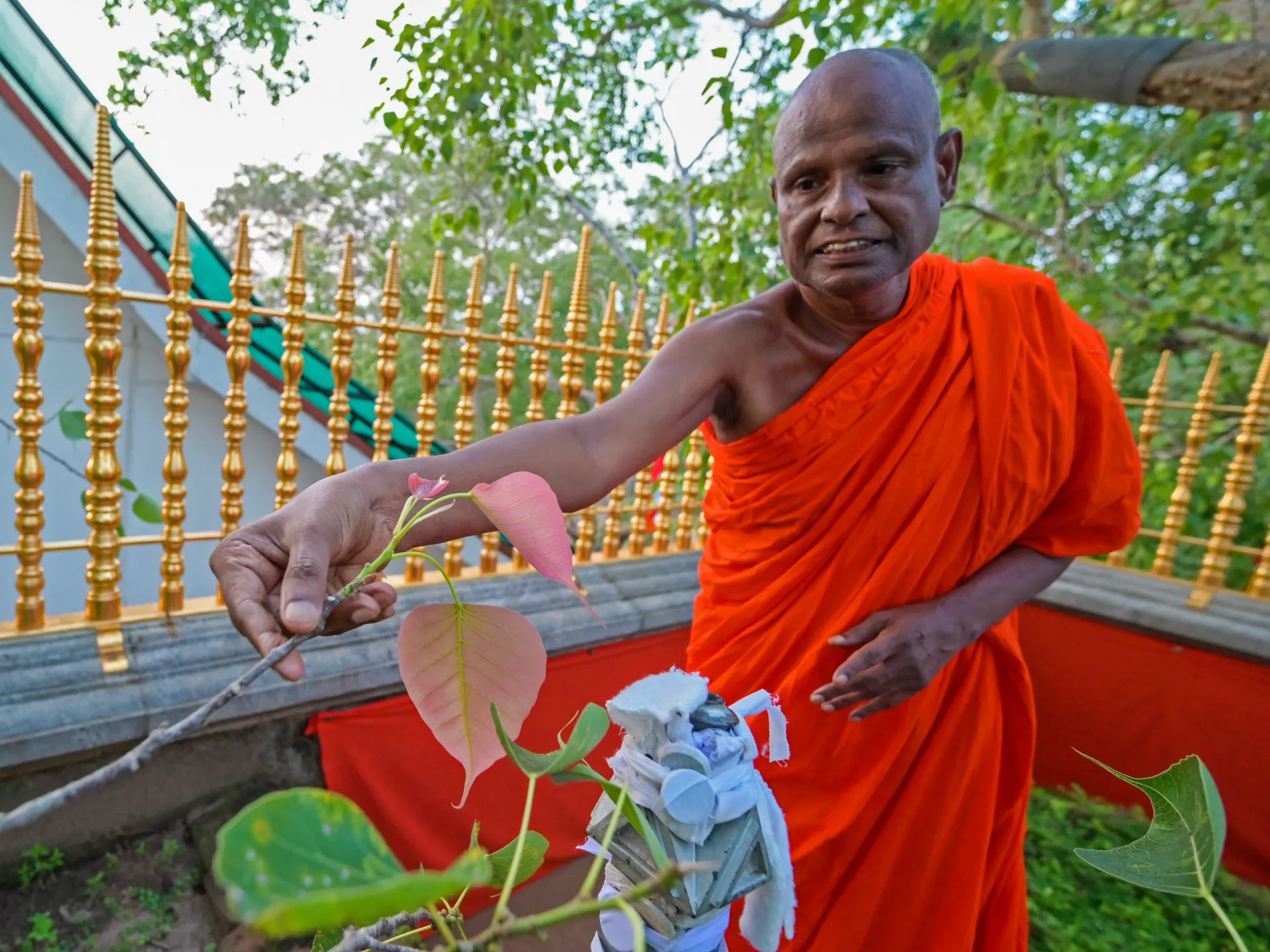Sri Lanka: Senior Buddhist monk arrested for alleged sexual harassment of underage girl
