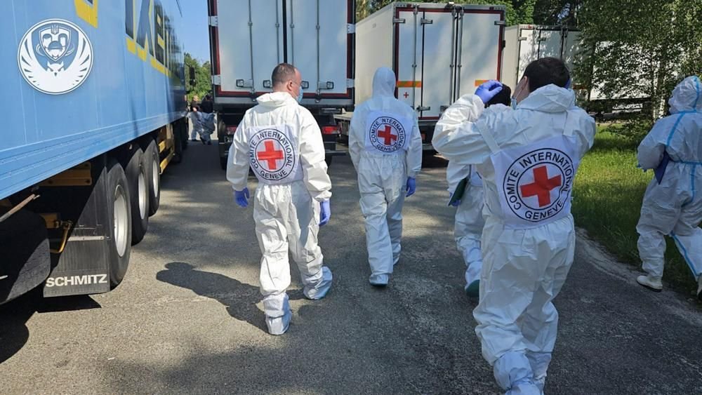 Ukraine ceasefire: Russia hands over 528 bodies to Ukraine