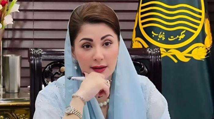 پنجاب ملکی و غیر ملکی اداروں کا ایک ہزار 691 ارب روپےکا مقروض، دستاویز ات سامنے آگئیں
