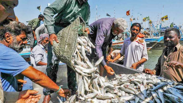 پاکستان کی سمندری خوراک کی برآمدات 56 کروڑ 80 لاکھ ڈالر ہوگئیں