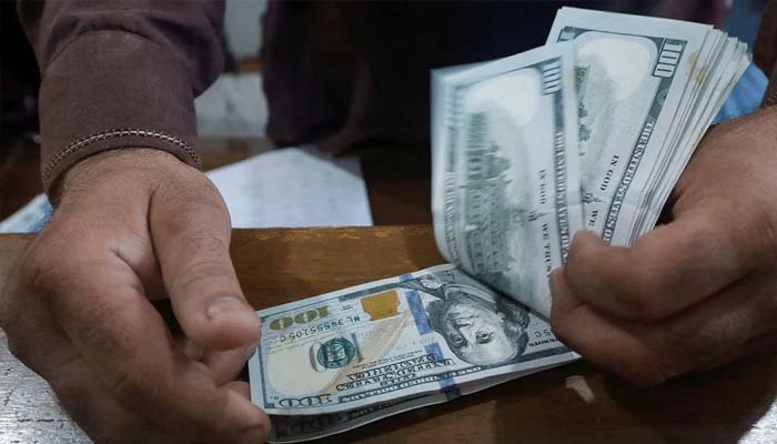 ڈیجیٹل اکانومی میں نیا سنگ میل، پاکستانی فری لانسرز نے ملکی تاریخ کا سب سے زیادہ ماہانہ زرمبادلہ کمالیا