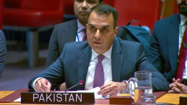 پاکستان کا اسرائیلی قبضہ ختم کرنے، آزاد فلسطین کیلئے ناقابلِ تنسیخ مدت مقرر کرنے کا مطالبہ