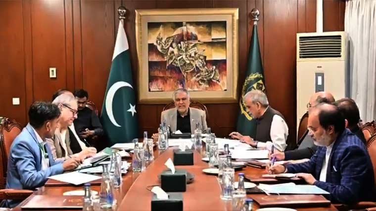 اسحاق ڈار کی زیر صدارت کابینہ کمیٹی کا اجلاس، گندم مہنگی کرنے کے رجحان پر اظہارِ تشویش