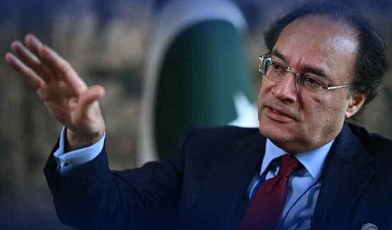 وزیرخزانہ نے ملک میں خام تیل سمیت توانائی کے دیگر ذرائع کی فراہمی کو تسلی بخش قرار دیدیا