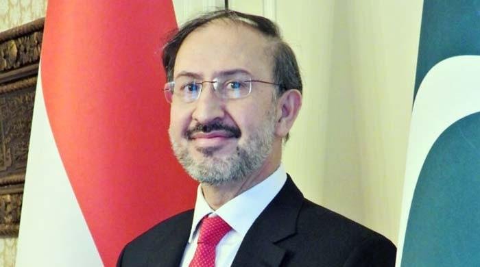 سید حیدر شاہ کو اقوام متحدہ میں پاکستان کا مستقل مندوب مقرر کرنے کا فیصلہ