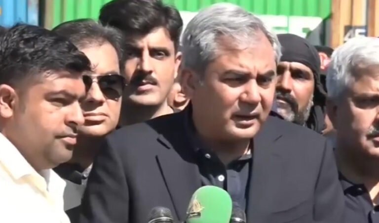 بیٹیاں اپنی تصویر کسی کیساتھ شیئر نہ کریں: محسن نقوی