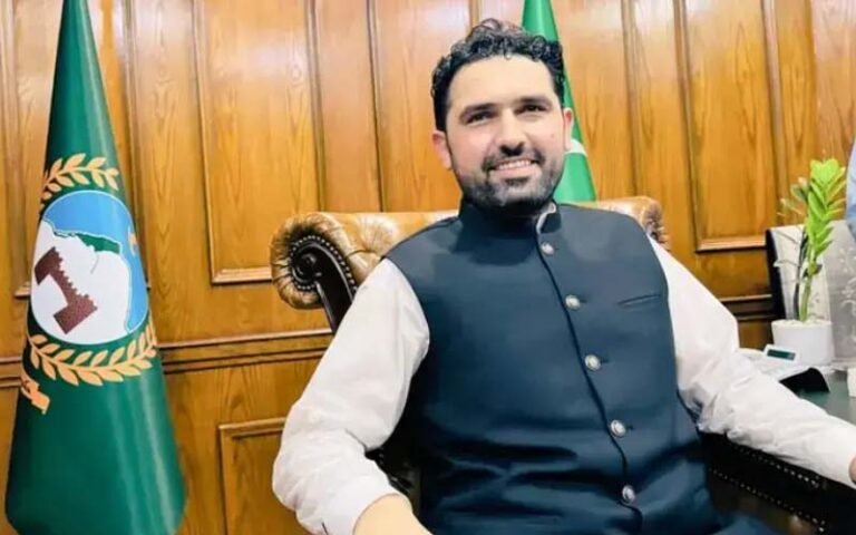 سہیل آفریدی ہی خیبرپختونخوا کے وزیراعلیٰ ہیں، بیرسٹر گوہر نے نوٹیفکیشن جاری کر دیا